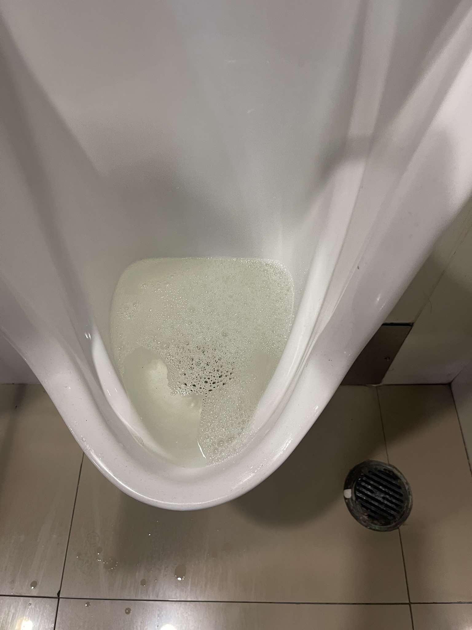 โถฉี่ตัน 494355917 555986237575534 5697213444089354232 n