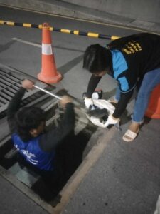 บริการของเรา 494687013 2113488845819681 1878228494311961244 n.jpg